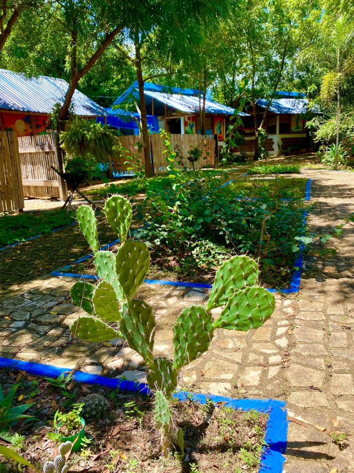 Finca Ecoturistica Los Jagueyes Baraya Kültér fotó