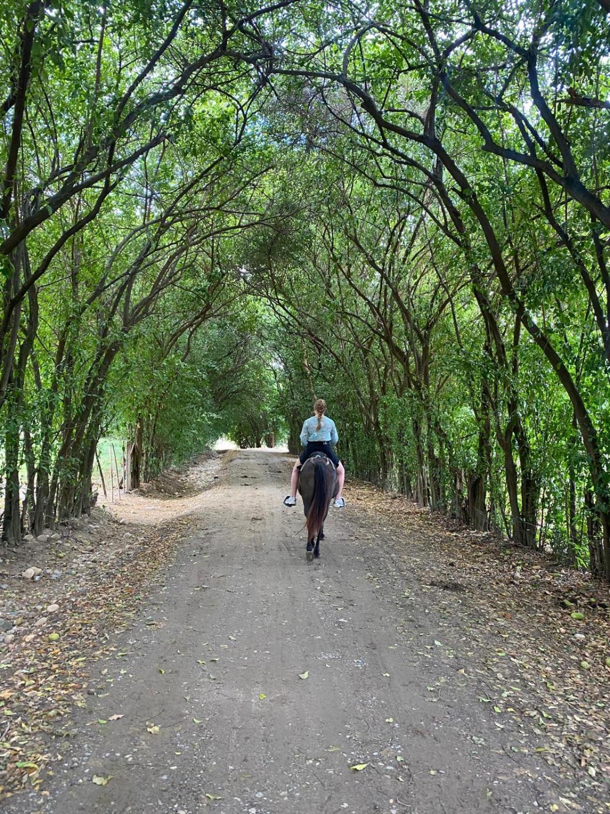 Finca Ecoturistica Los Jagueyes Baraya Kültér fotó