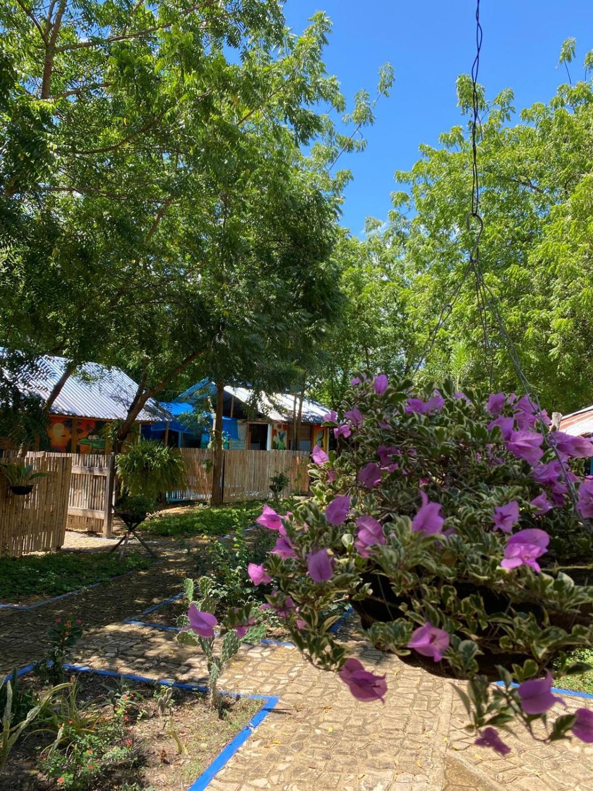 Finca Ecoturistica Los Jagueyes Baraya Kültér fotó